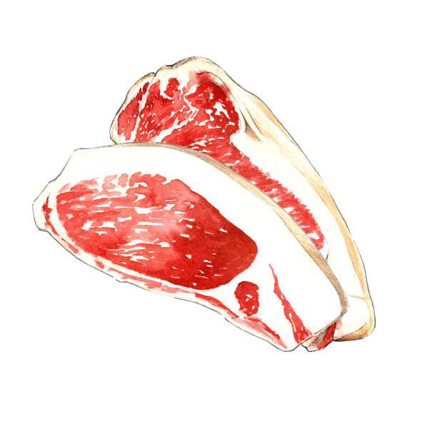 生牛排水彩插图上的白色背景图片下载