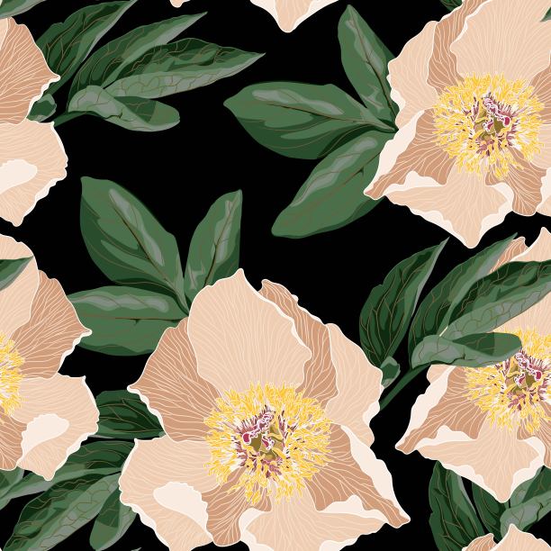 可爱的花型与米色牡丹花。无缝矢量纹理。优雅的模板时尚印花。印刷小玫瑰色的花朵。黑色背景。图片下载