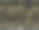 无缝涡纹斑马毛皮印花。动物的皮肤纹理。图片下载
