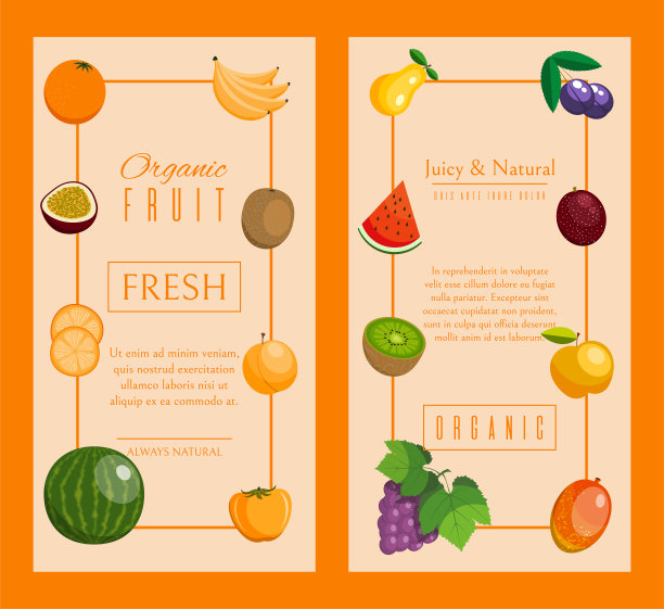水果条幅，用于新鲜产品或水果农贸市场。有机和自然食物载体插图。香蕉，西瓜或甜瓜，李子，橙子，葡萄，猕猴桃，芒果，苹果。图片下载