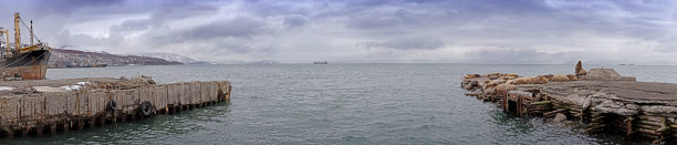 在堪察加湾一个破败的码头上，一群海狮躺在一起。图片下载