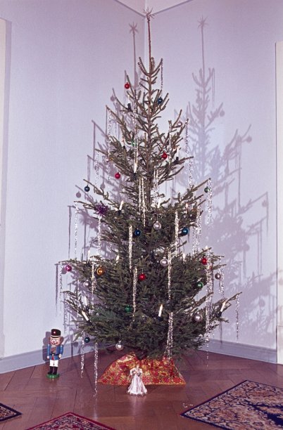 圣诞树在客厅的角落里图片下载