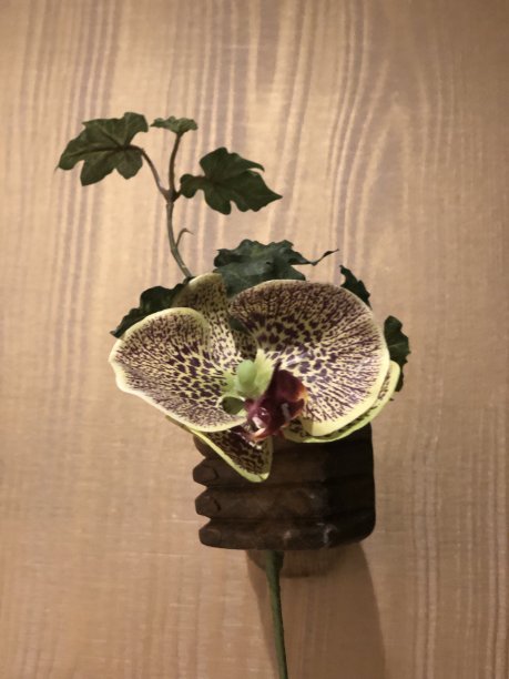 竖起大拇指图片下载