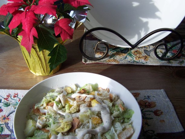 凯撒沙拉特写图片下载