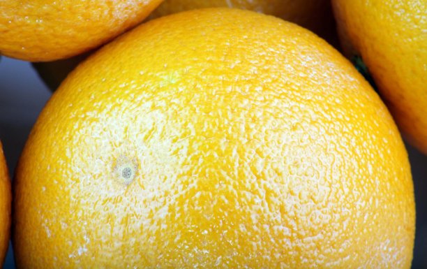 许多橙色水果图片下载