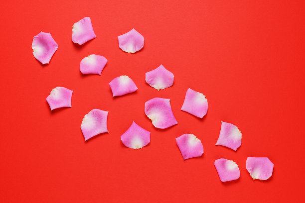 红色背景上的粉红玫瑰花瓣图片下载