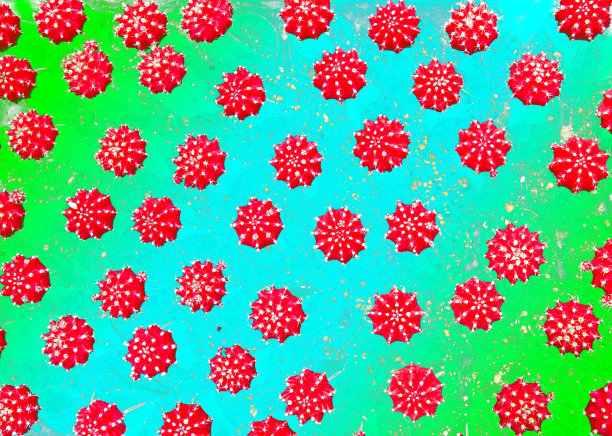 从上面的仙人掌照片上可以看到红色的头像烟花。图片下载