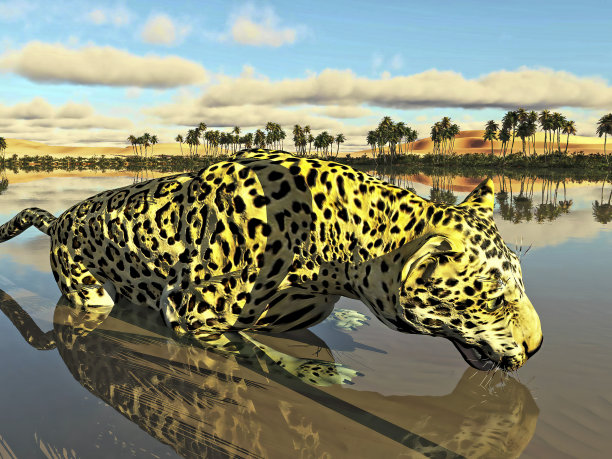 豹插图图片下载