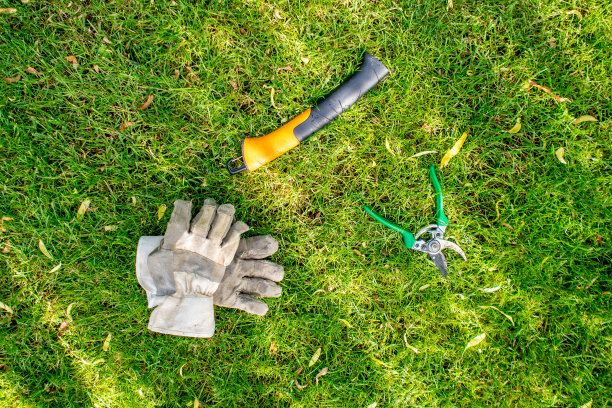 防护手套和眼镜放在绿色草地上图片下载