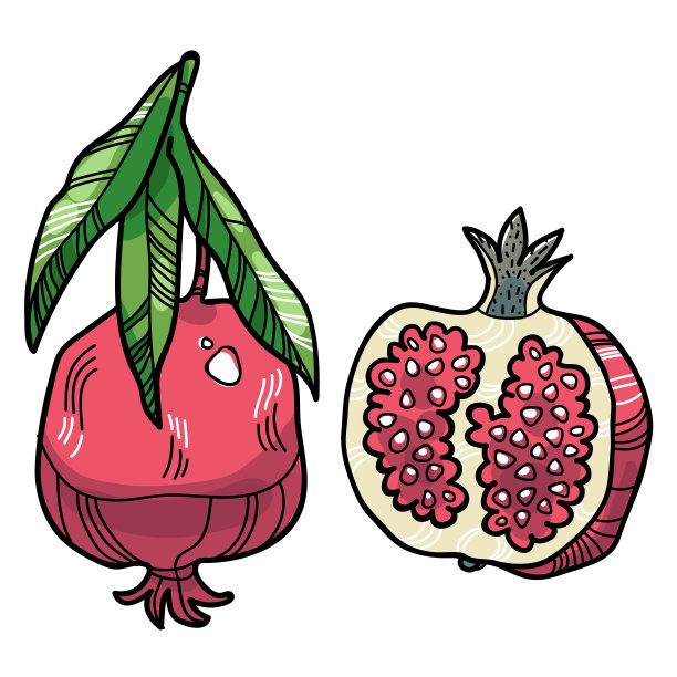 带叶子的矢状石榴图片下载