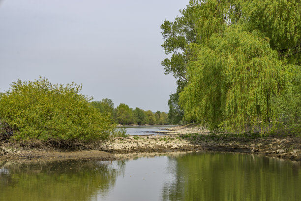 莱茵草地景观，靠近德国莱茵茵格海姆图片下载