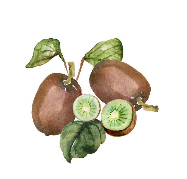 自然的礼物。图片下载