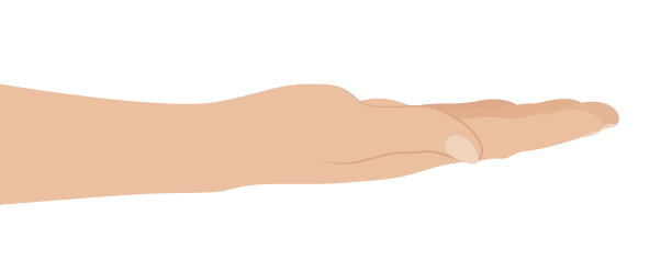 女人的手放在白色的背景上图片下载