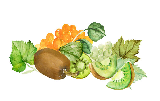 自然的礼物。图片下载