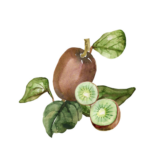 自然的礼物。图片下载