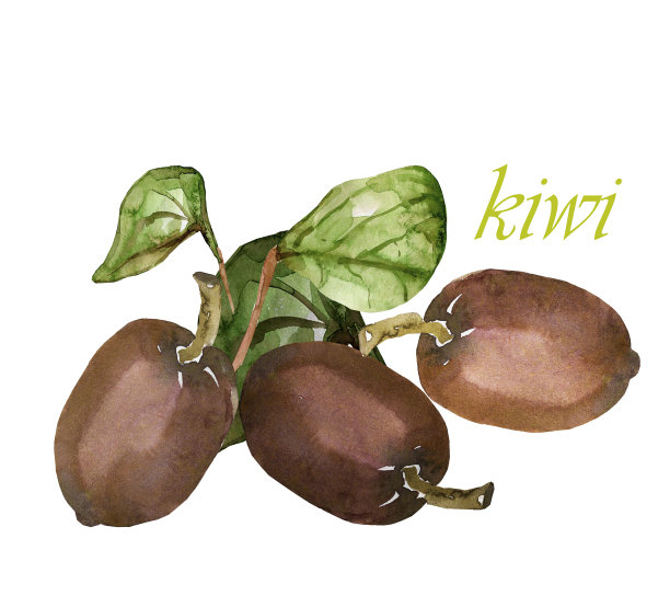 自然的礼物。图片下载