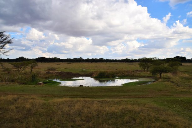 非洲大草原野生狩猎自然旅游景观图片下载