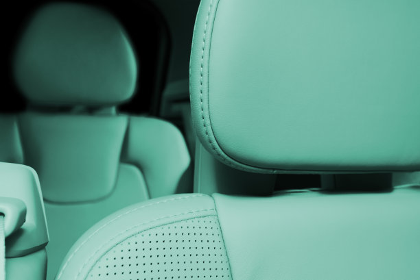 部分青蓝打孔皮革汽车坐垫图片下载