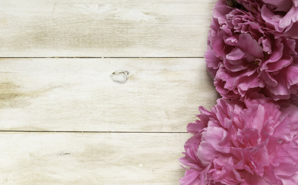 美丽的粉红色牡丹在木制的背景图片下载