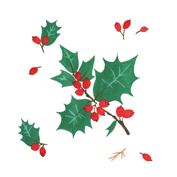 有红色浆果的松果x-mas枝孤立的冷杉在白色叶子上。圣诞派对传单设计理念。图片下载