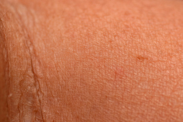 成熟女人的皮肤。图片下载