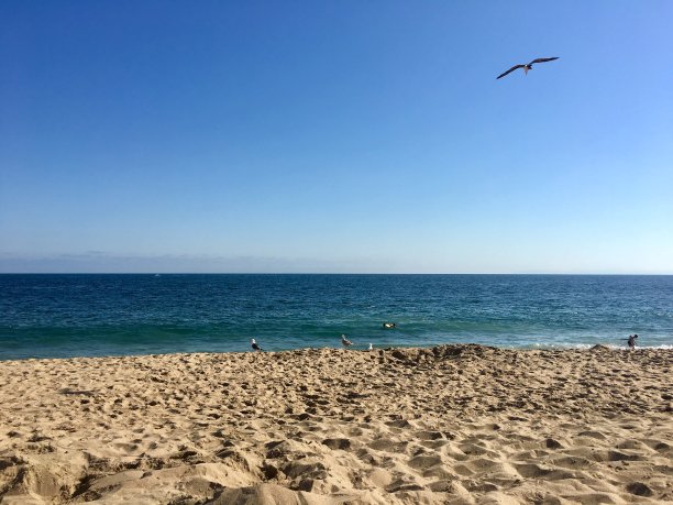 夏日微风图片下载