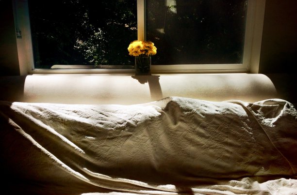 室内有阴影，窗台上有花图片下载