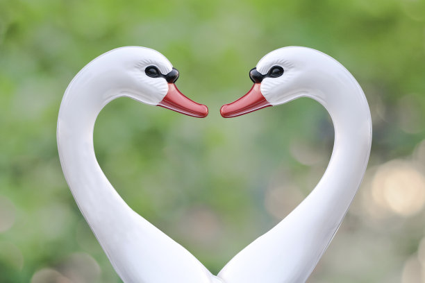 天鹅船在大自然的背景上签字相爱。图片下载