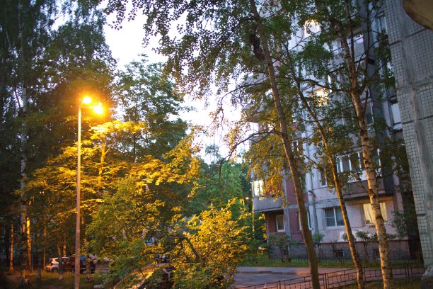 城市庭院在夏天的傍晚图片下载