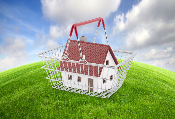 购物篮子与房子的迷你在绿色的草地和明亮的蓝色的天空图片下载