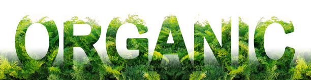 “有机”这个词的背景是一片种植绿色胡萝卜叶的农田。在生态清洁地区耕作。没有有害化学物质，杀虫剂，化肥和硝酸盐。图片下载