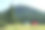 夏季景观与露营帐篷山谷。图片下载