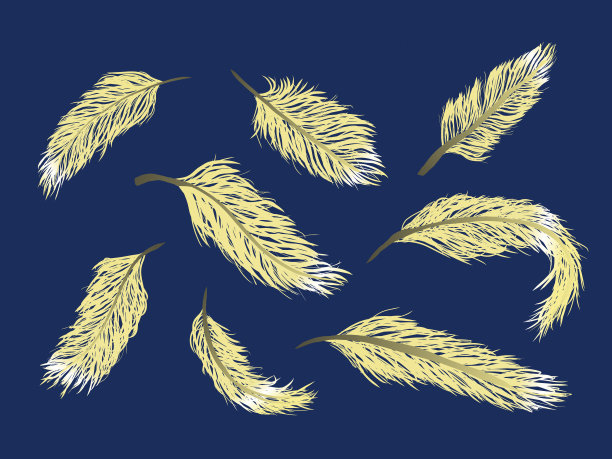 一套手工绘制的金色羽毛矢量在蓝色的背景图片下载