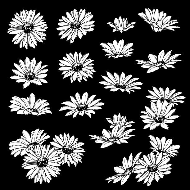 花朵插画素材图片下载