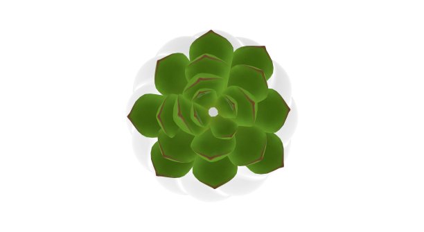 花植物在花盆3D渲染图片下载