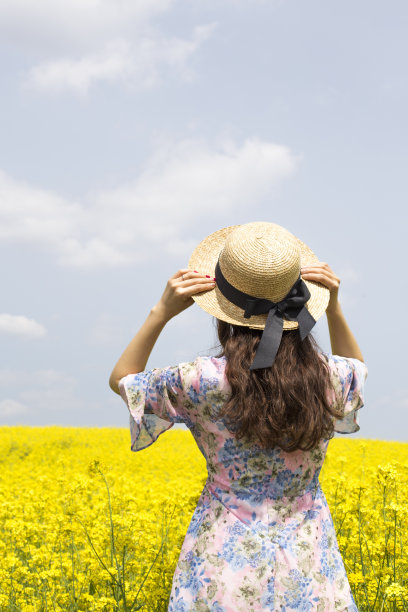 背影上的年轻女子穿着一件连衣裙，戴着一顶帽子，站在一片黄色的油菜花田里。图片下载