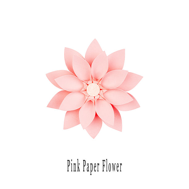 粉色纸花，俯视图图片下载