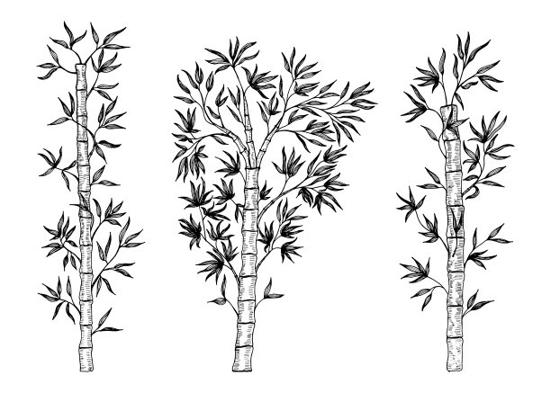 将竹枝隔离。图片下载