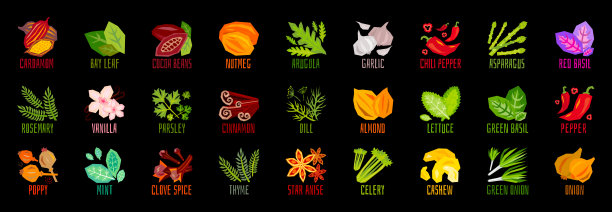 大套蔬菜坚果香草香料调味品图标隔离在黑色背景上。彩色树叶刻字。图片下载