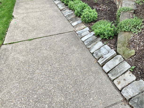 沿着人行道的鹅卵石图片下载