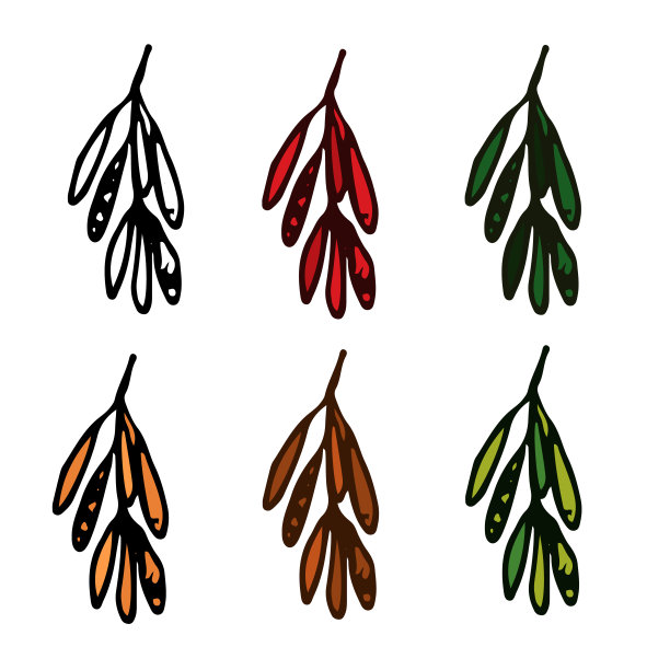 矢量集秋叶孤立的白色背景图片下载