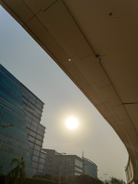 午后的阳光图片下载