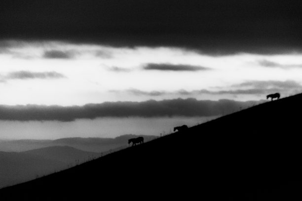 黄昏时分，远处的骏马在美丽的天空映衬下的山峰上剪影图片下载