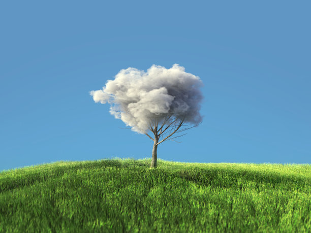 树枝上飘着蓬松的云朵图片下载