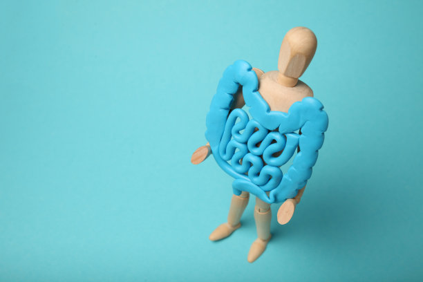 健康的肠道在人的形象手中。消化问题，腹痛，细菌失调图片下载