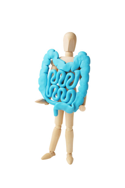 健康的肠道在人的形象手中。消化问题，腹痛，细菌失调图片下载