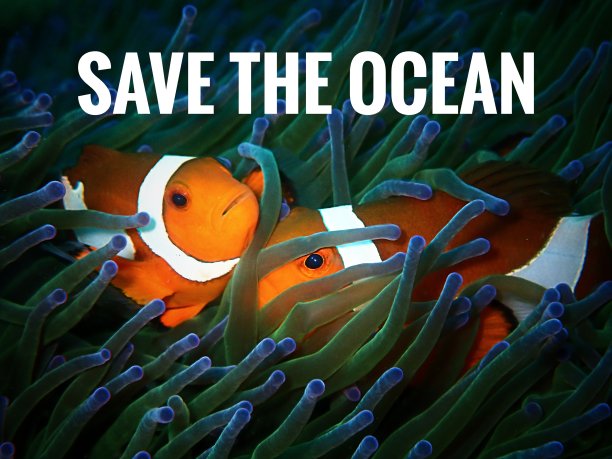 拯救海洋!图片下载