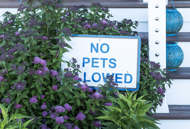 宠物不得进入花园图片下载