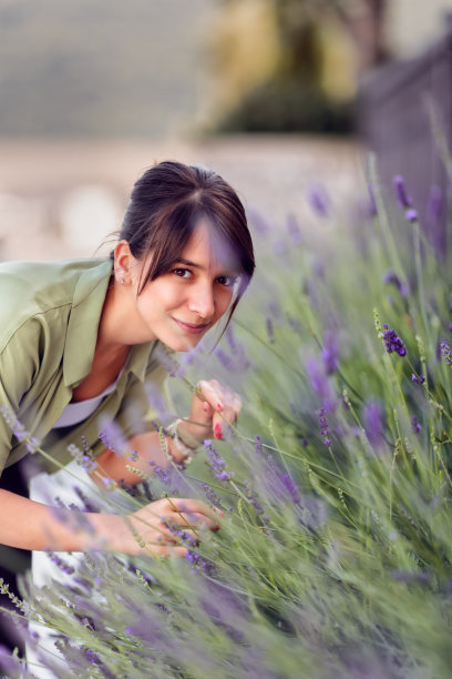 爱薰衣草图片下载