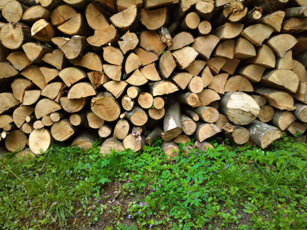 绿色草地上的木头。图片下载